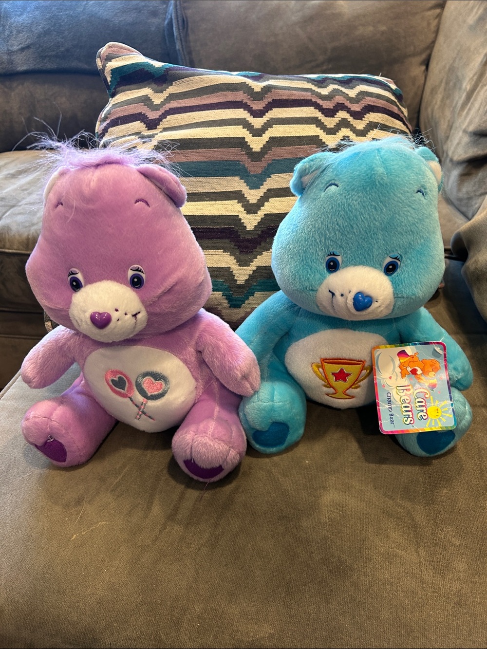 Care Bears Purple & Blue Plush Pair with Embroidered Belly Badges